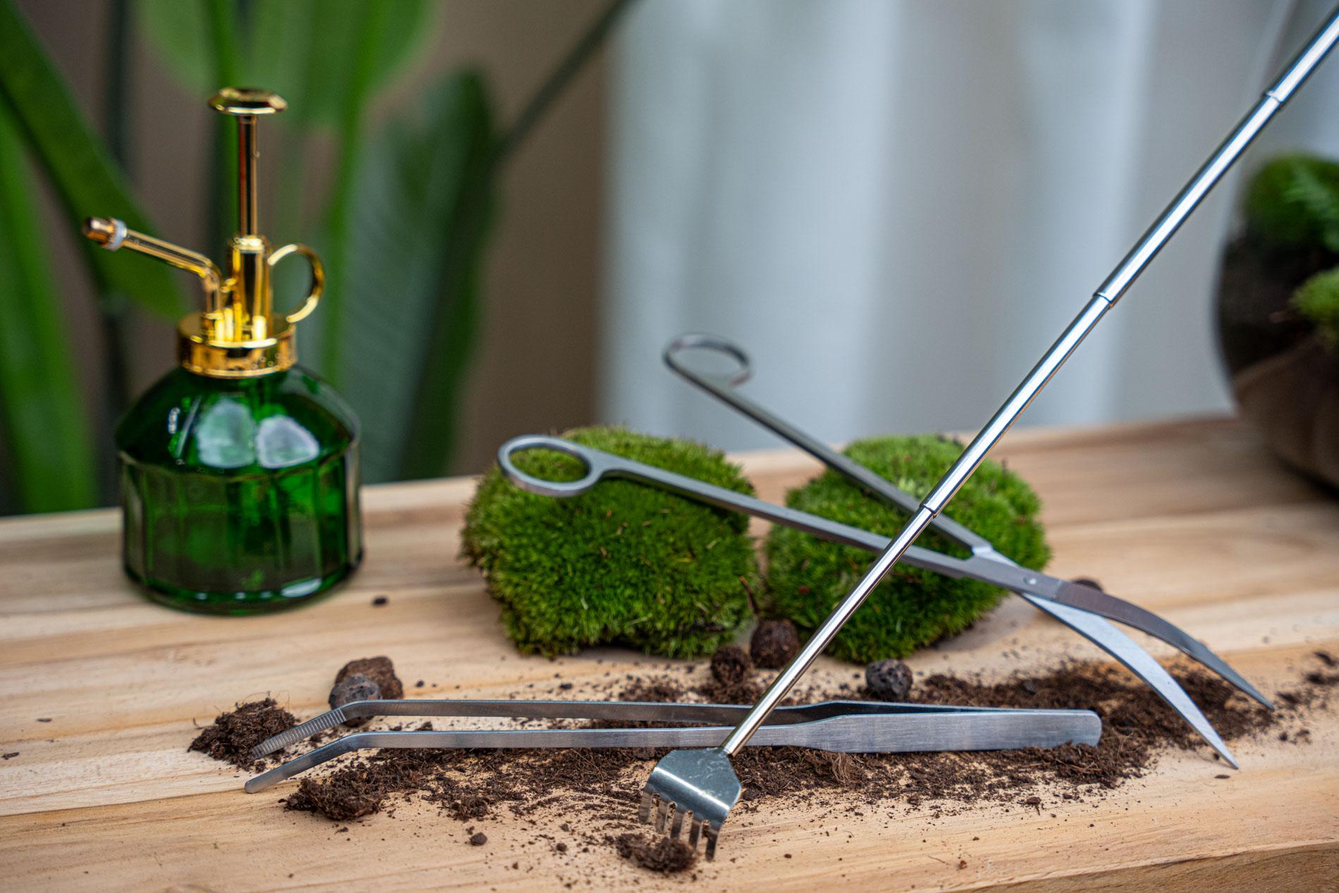 Terrarienpinzette – Edelstahl – 26cm – Lange Greifpinzette für Terrarium & Flaschengarten